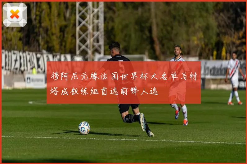 穆阿尼无缘法国世界杯大名单马特塔成教练组首选前锋人选